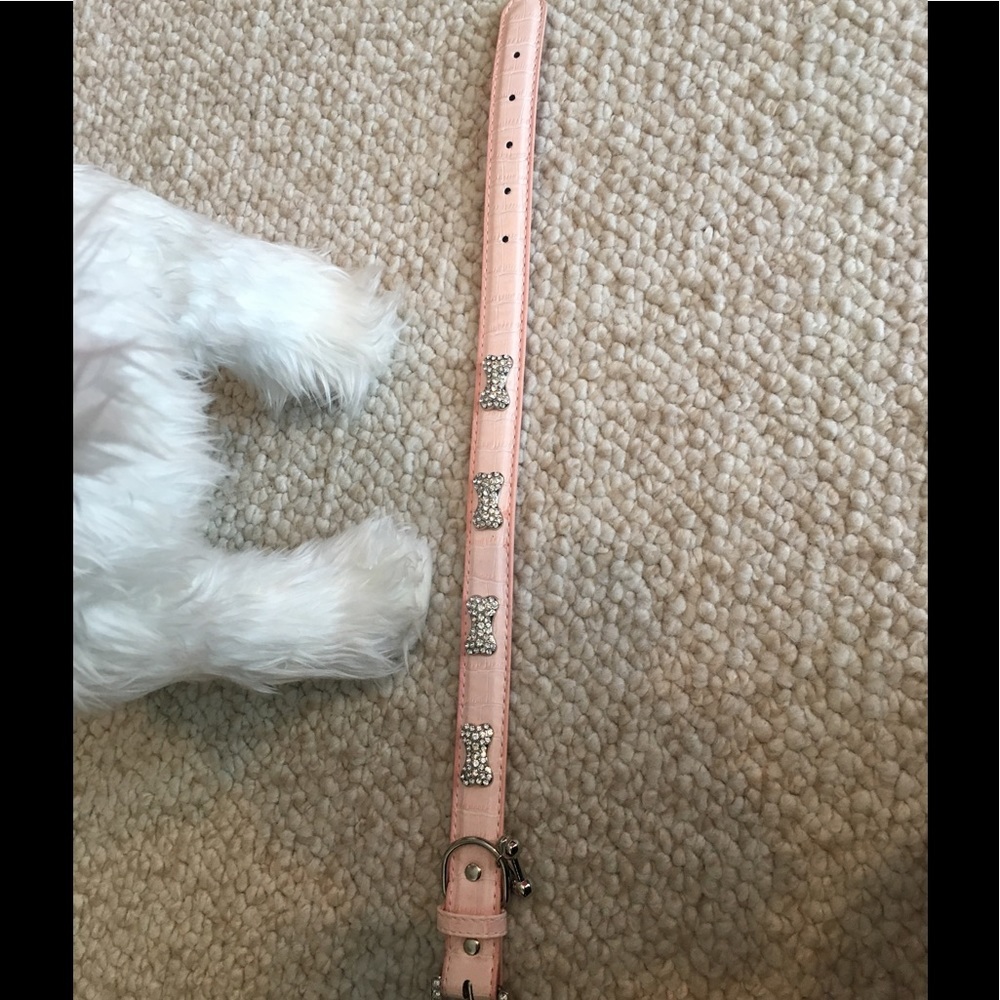 Statement Collar - Picture 4 of 7
